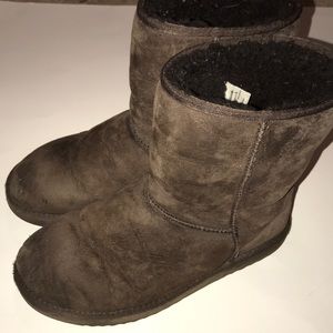 Chocolate short Uggs